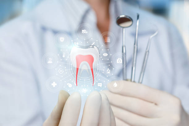 Reliable Clarksville, IN Holistic Dental Care Services Solutions